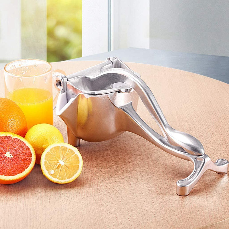 Stainless Steel Fruit Juicer Portable