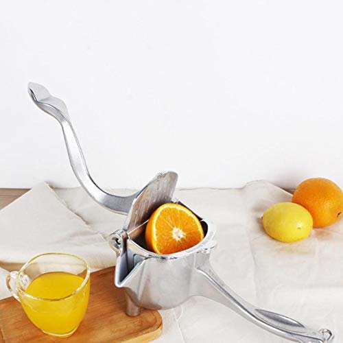 Stainless Steel Fruit Juicer Portable