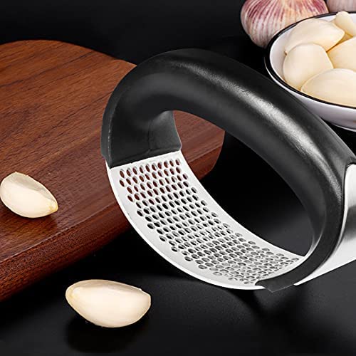 Steel Garlic Press