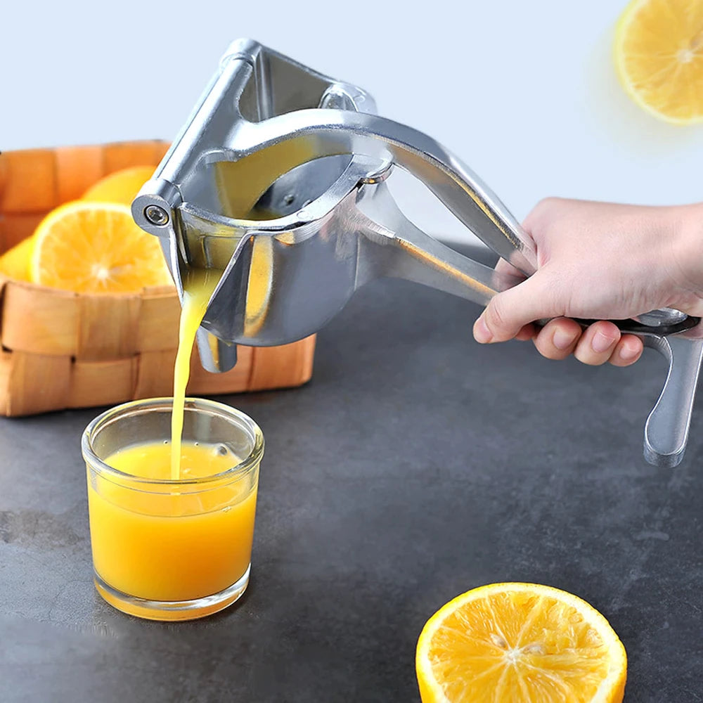 Stainless Steel Fruit Juicer Portable