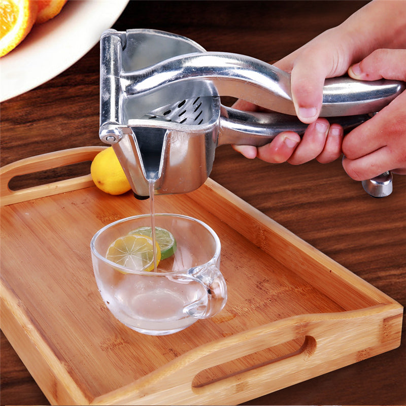 Stainless Steel Fruit Juicer Portable