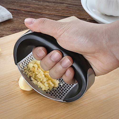 Steel Garlic Press