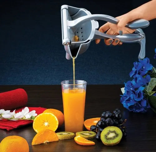 Stainless Steel Fruit Juicer Portable